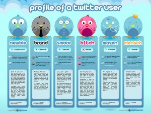 Twitter users profiles